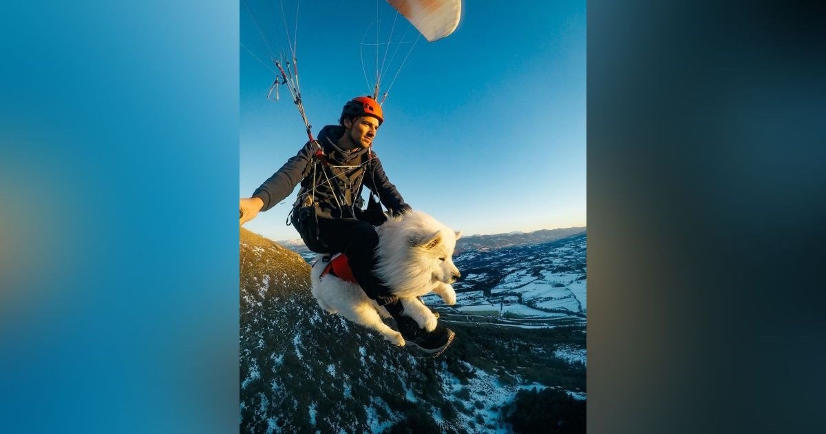 Upoznajte Ouku, samojeda koji obožava paraglajding