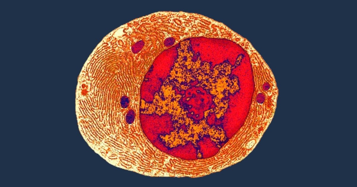 Ovako je izgledao zajednički predak svih živih bića na Zemlji