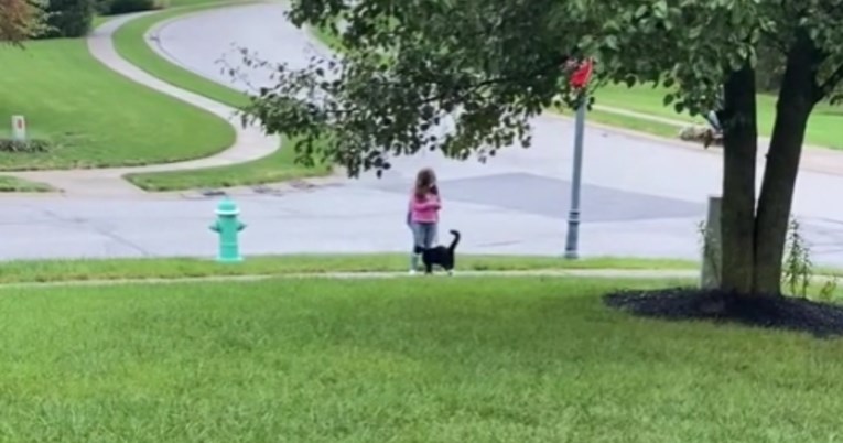 Snimka mačka koji svaki dan prati vlasnicu do školskog autobusa oduševila je mnoge