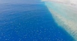 Nesvakidašnja scena na plaži snimljena dronom zapanjila ljubitelje prirode