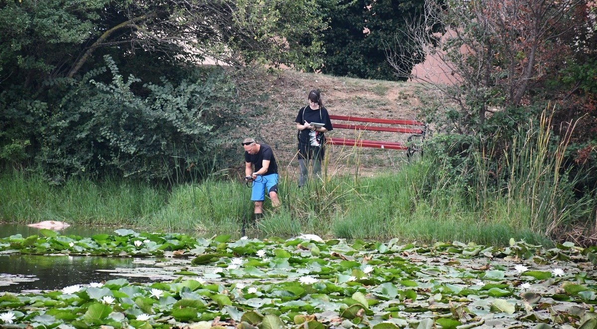 Pomor ribe u Medulinskoj lokvi