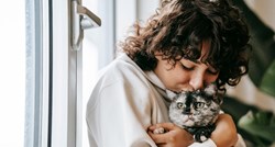 Potvrđeno je: Mačke nas čine boljim ljudima i jačaju naš imunitet