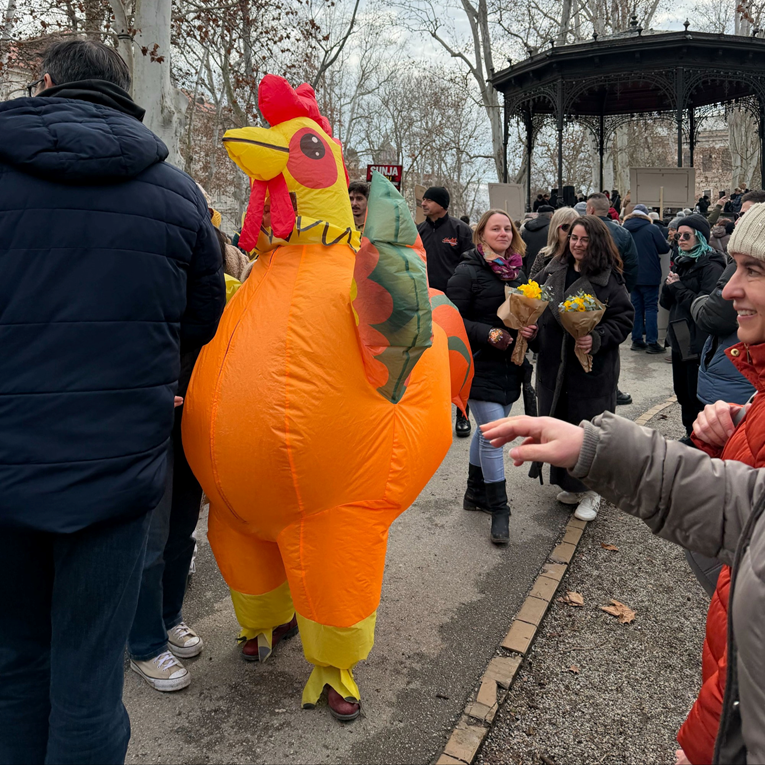 Netko prosvjedovao protiv sisačke farme pilića u kostimu koke