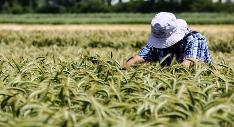 Domaći poljoprivrednici pozvali EU zastupnike da ih podrže oko ugovora s Ukrajinom