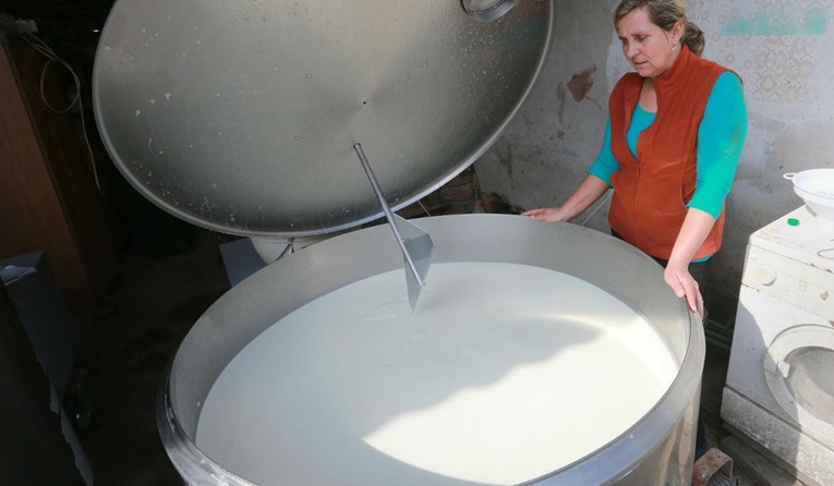 Ličko-senjska županija će prijevoz mlijeka sufinancirati s 15 lipa po litri