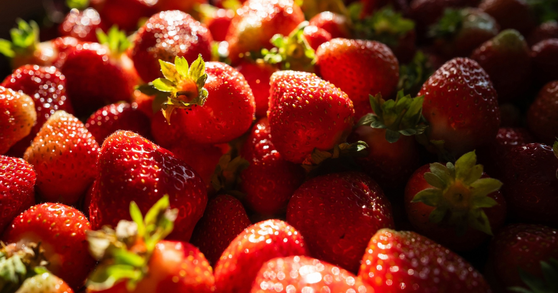 Kako odabrati najslađe jagode? Na nekoliko stvari posebno obratite pozornost