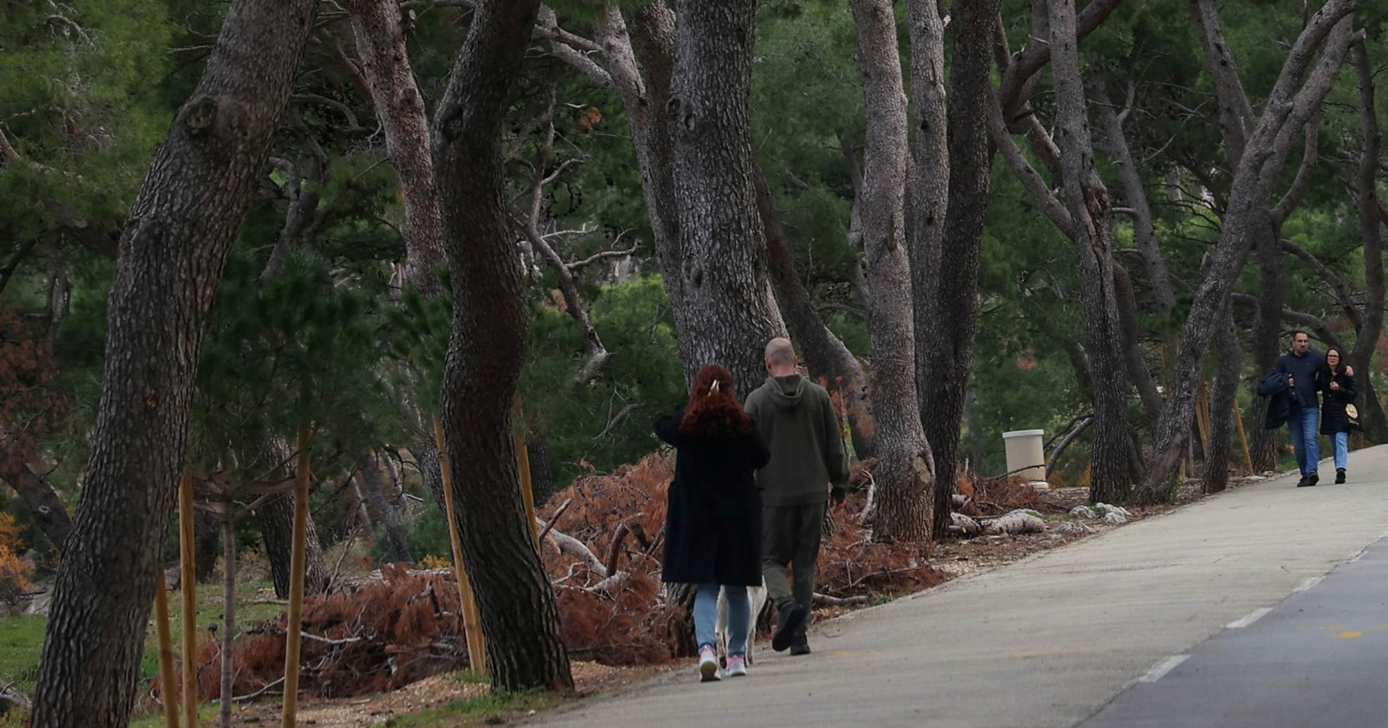 Od sutra se djelomično zatvara Marjan zbog sanacije stabala