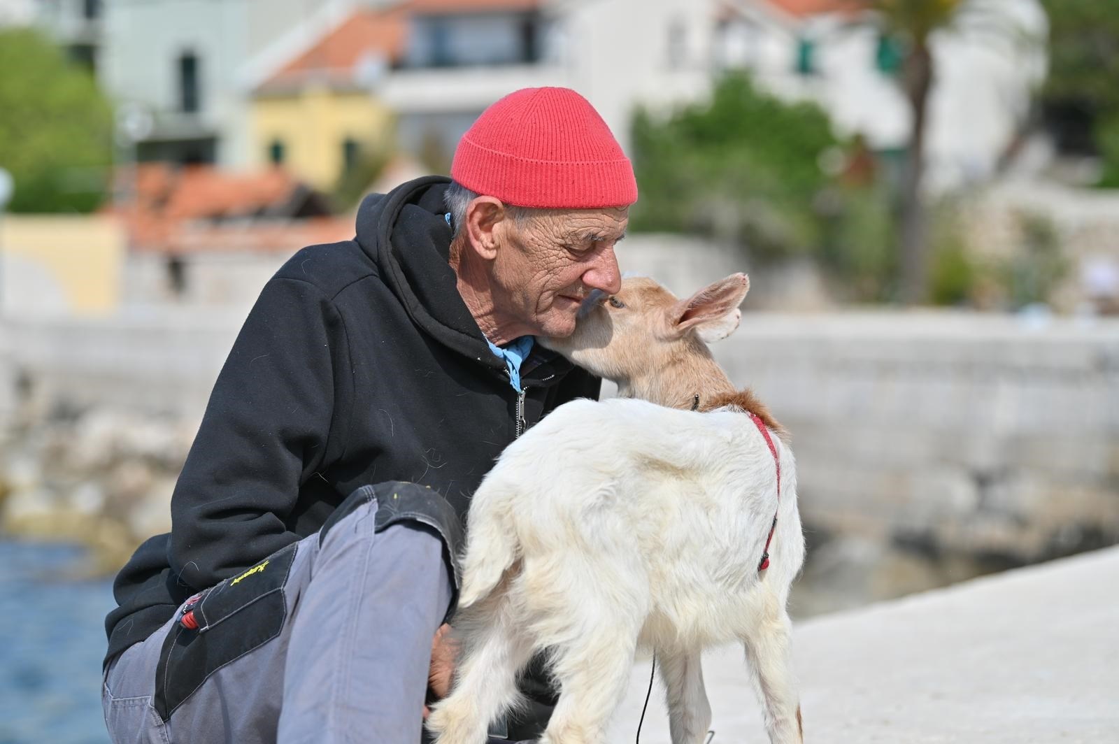 FOTO Gago iz Dalmacije za ljubimca ima kozu Nelu, zajedno šetaju rivom i idu na kavu
