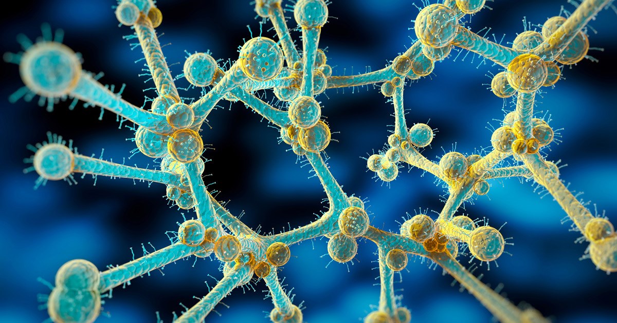 Europski centar oglasio alarm zbog širenja opasne  supergljivice po bolnicama