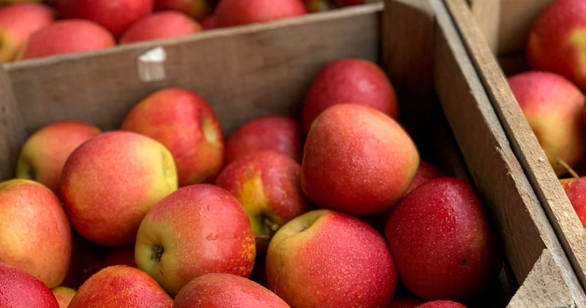 Deset vrsta voća koje ne podižu šećer i pozitivno utječu na zdravlje srca