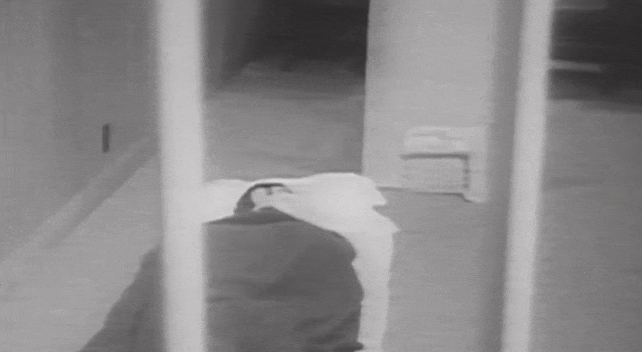 Nitko nikad nije pobjegao iz Alcatraza, kaže Trump. Evo priče o onima koji jesu