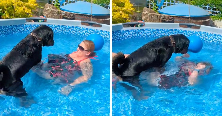 Žena se kupala u bazenu, a onda je njezin pas napravio nešto što nitko nije očekivao