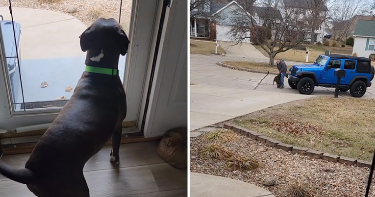 Pas koji ne može sakriti uzbuđenje dok čeka djeda da ga pokupi je viralan