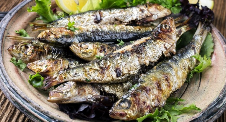 Zamjena crvenog mesa za haringe, sardine i inćune mogla bi pomoći i ljudima i okolišu
