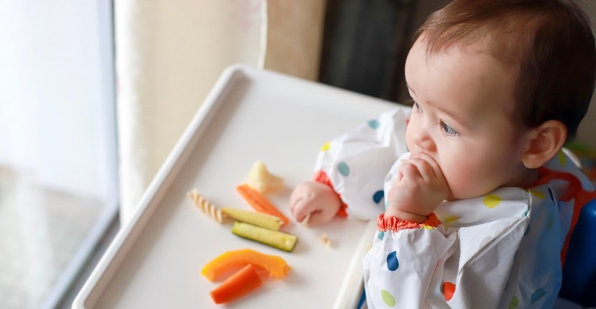 Beba vođa dohrane: Evo što o popularnoj metodi kažu stručnjaci