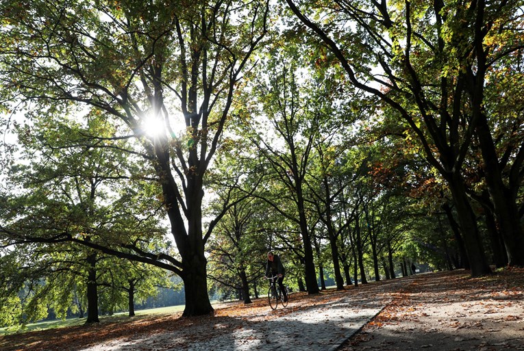 Berlin izglasao zakon o sadnji stabala, do 2040. ih u gradu mora biti milijun