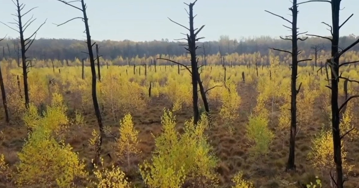 Kako spriječiti Putina da prodre u Europu? "Trebamo napuniti močvare vodom"