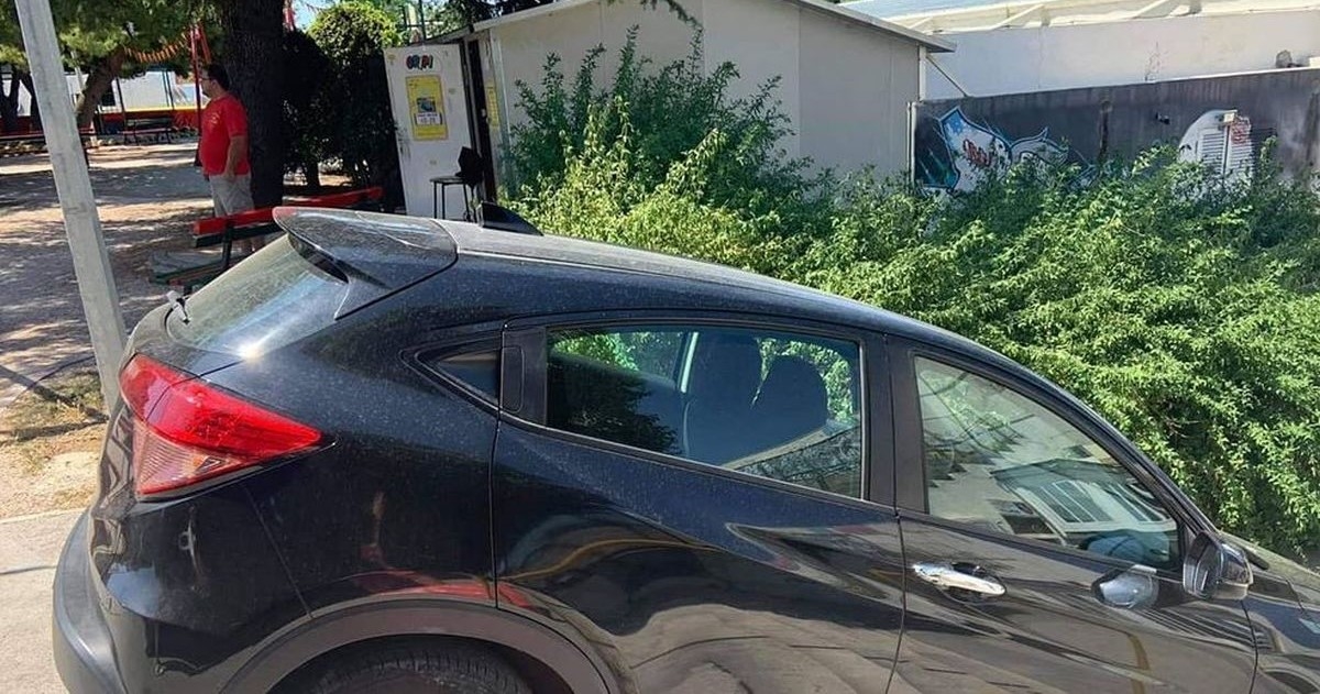 Prizor iz Dalmacije nasmijao Fejs: "Parking pod kutem"