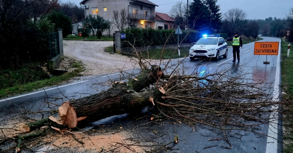 Kod Skradina srušio stabla da bi imao bolji pogled na parking. Jedno blokiralo cestu
