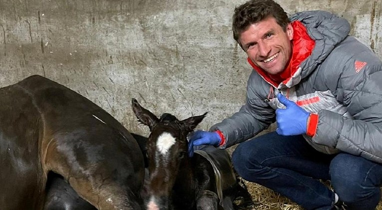 Udruga za zaštitu životinja tvrdi da Muller muči konje kako bi prodao njihovu spermu