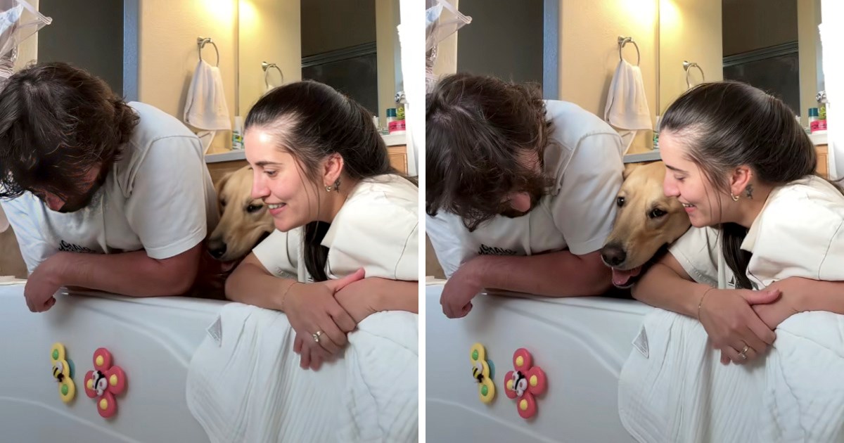 Roditelji su kupali dijete, a onda im se u obiteljskom trenutku pridružio i ljubimac