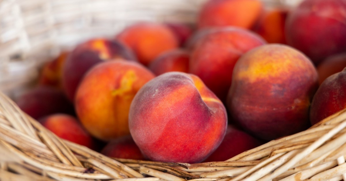 Nutricionistica: Sedam ljetnih namirnica za zdravu probavu i crijevni mikrobiom