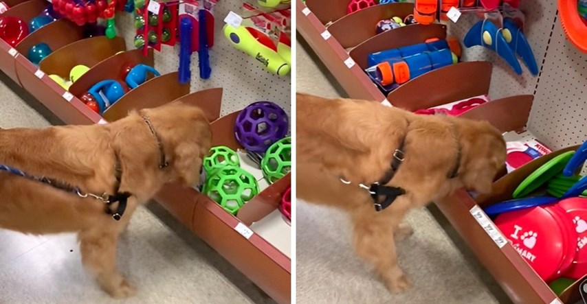Pas prvi put u životu dobio priliku izabrati igračku, evo kako je reagirao