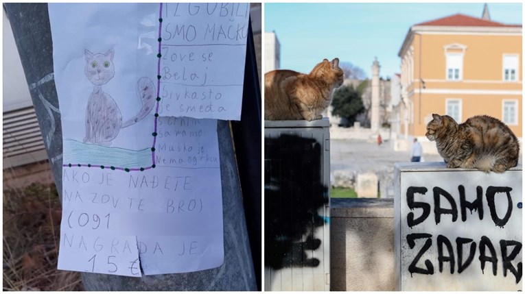 Djeca u Zadru postavila simpatičan oglas: "Izgubili smo mačka Belaja, nudimo nagradu"