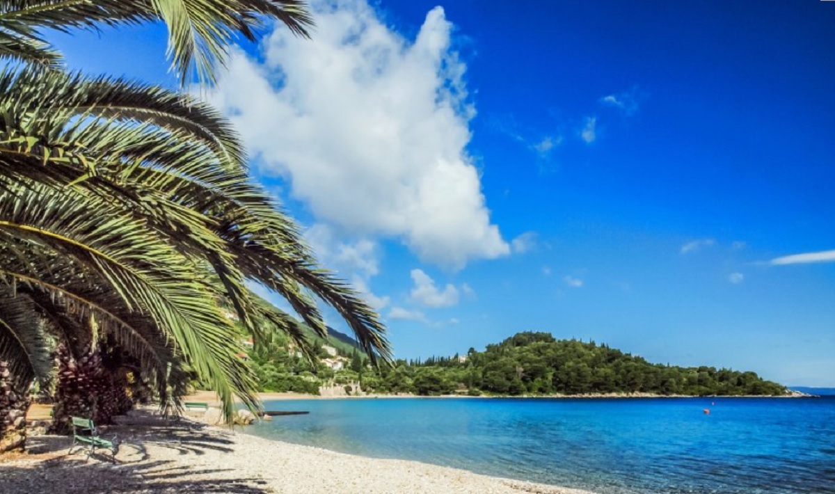 Ležaljka uz palmu na plaži na Pelješcu triput skuplja. Vlasnik: "To je palmset"