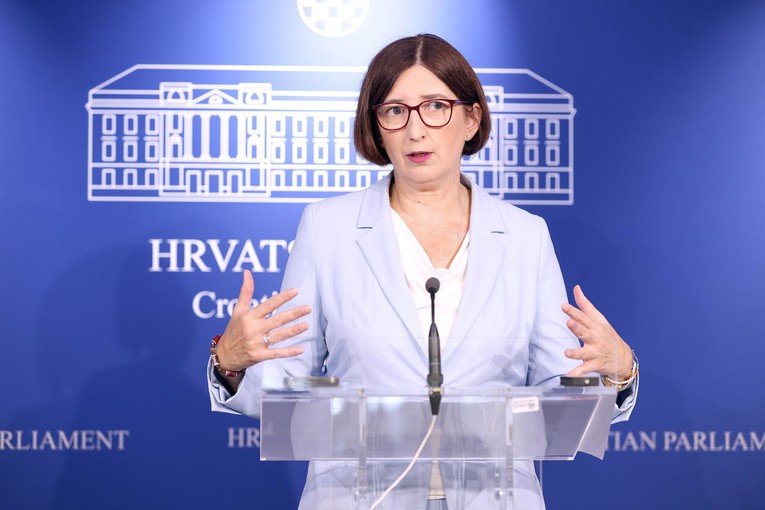 Puljak: Jedina stvarna ekološka mjera u Hrvatskoj je trajno uklanjanje HDZ-a s vlasti