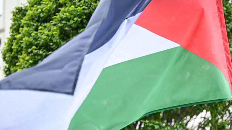 Pred klečavce došli s palestinskom zastavom, policija ih kaznila. Pogledajte kaznu