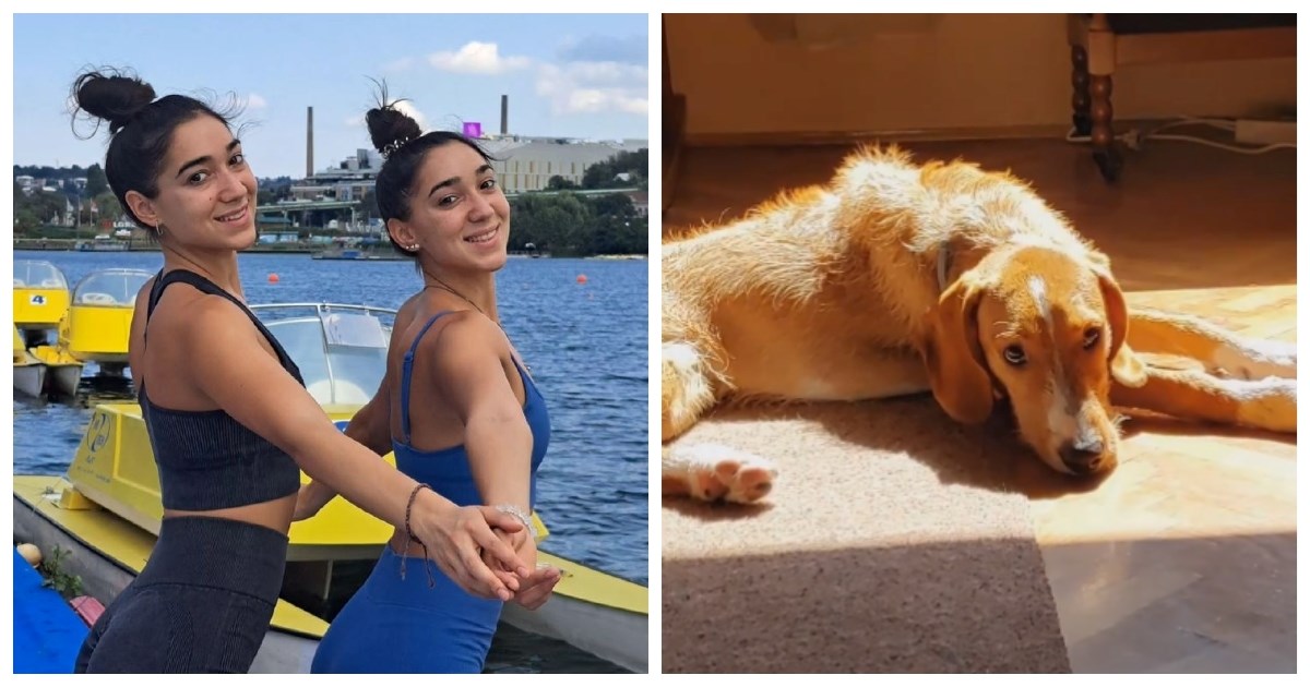 Srpske influencerice udomile psa pa ga vratile u azil: Ostavile smo ga gdje pripada