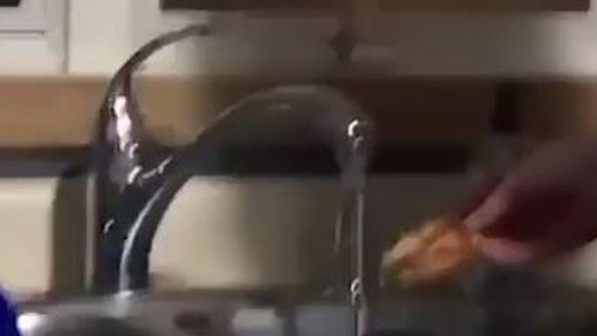 Zbog načina na koji jede pizzu, ljudi na internetu prijete da će mu pozvati policiju