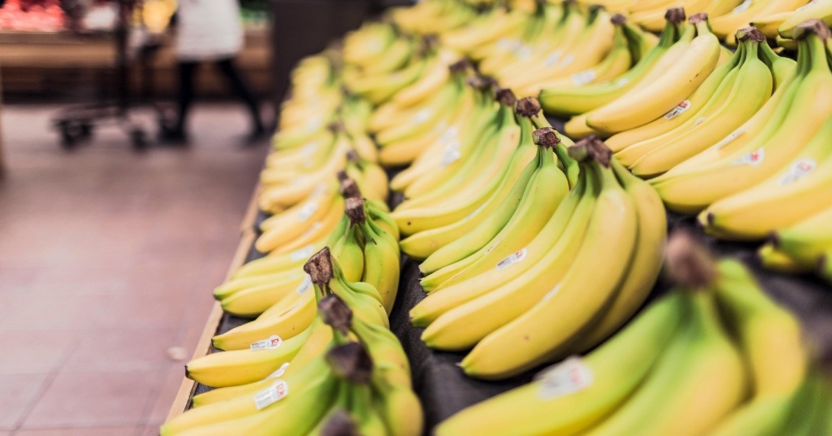 Osam vrsta hrane koje treba često jesti za sagorijevanje masti i zdravlje crijeva