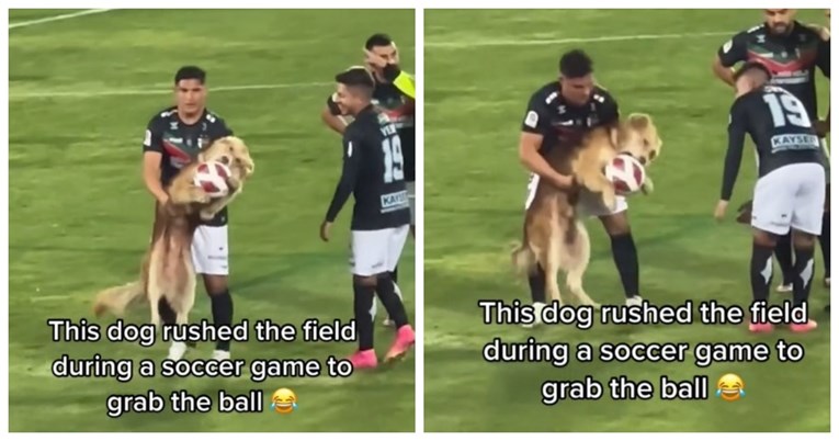 Pas uletio na nogometnu utakmicu pa ukrao loptu i igrao se s njom, video je hit