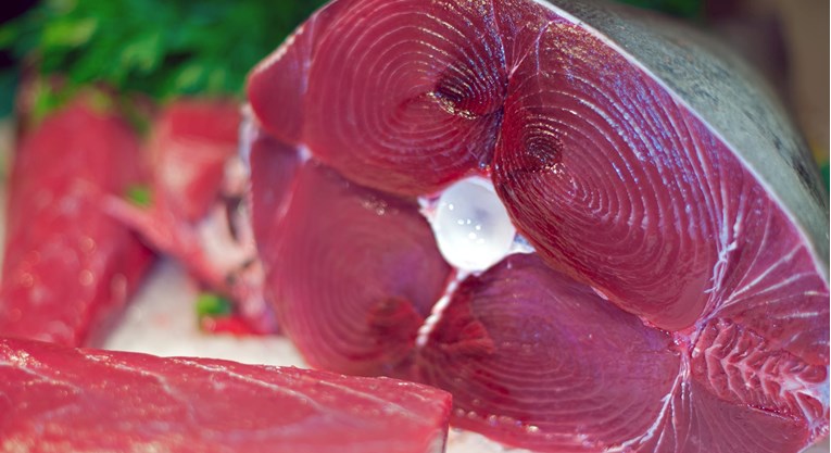 Zrnca mudrosti s TikToka: Kako savršeno ispeći tunu na tavi