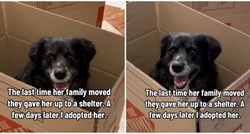 Ova kujica je napuštena tijekom selidbe, njezina reakcija na novu selidbu slama srca