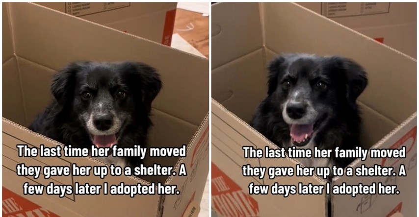 Ova kujica je napuštena tijekom selidbe, njezina reakcija na novu selidbu slama srca