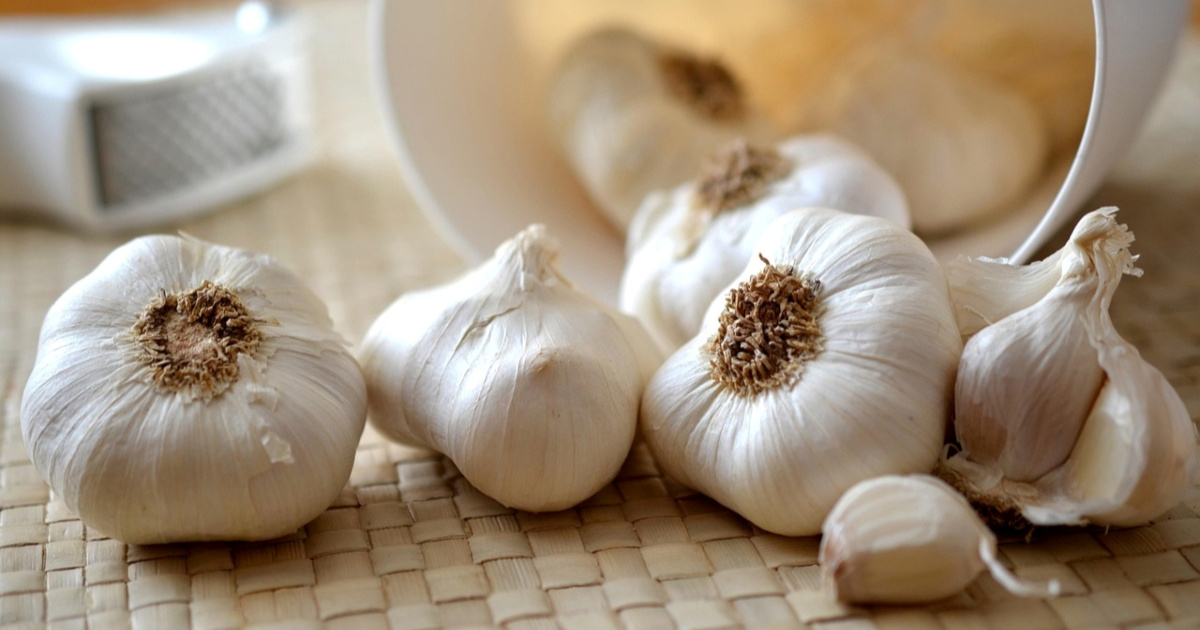 Češnjak kao lijek: 11 znanstveno dokazanih koristi