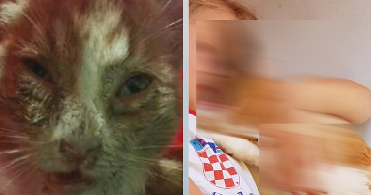 Maca iz Hrvatske oduševila internet, njezina transformacija vraća vjeru u ljude