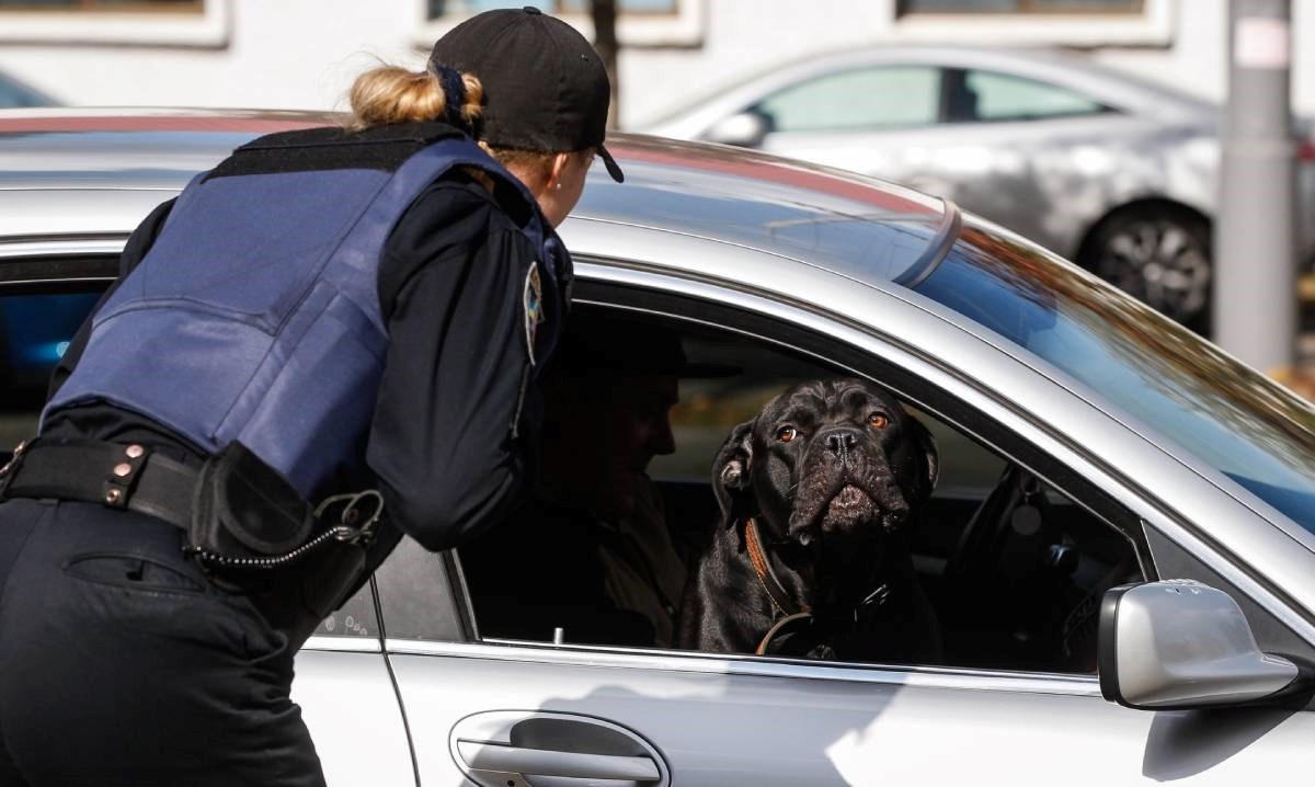 Pijani vozač u SAD-u tvrdio policiji da je njegov pas bio za volanom