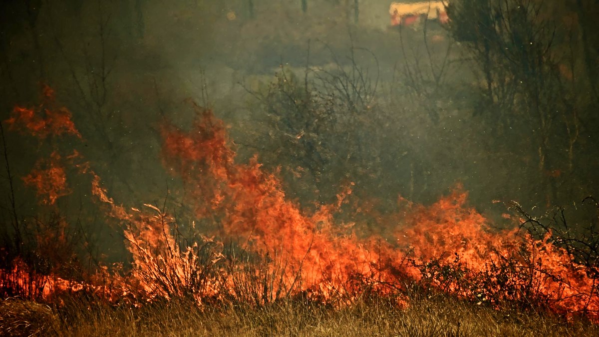 FOTO I VIDEO Veliki požar kod Pule, izbio je u blizini plinske stanice