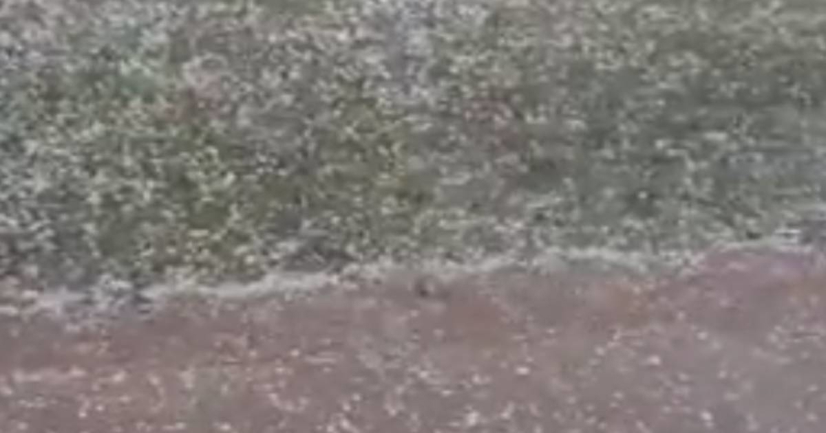 VIDEO Jaka tuča pogodila u Petrinji i okolici, uništeni voćnjaci i vrtovi