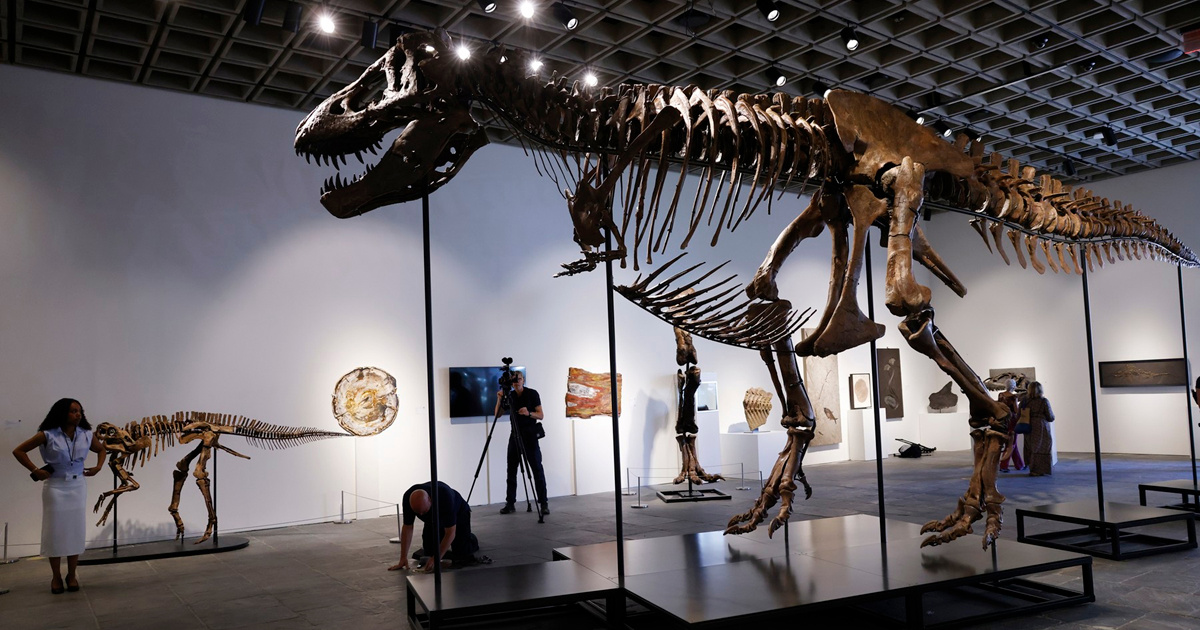 Oboren rekord za najskuplje prodanog dinosaura ikad