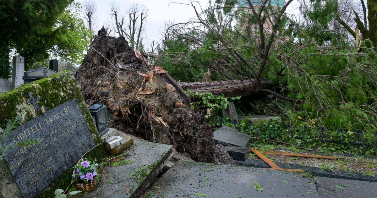 Oluja hara Zagrebom. Stotine stabala pale na ceste, idući tjedan stiže nova oluja?