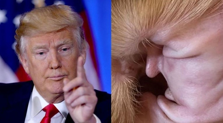 U uhu svog psa "ugledao" Donalda Trumpa: "Sličnost je nevjerojatna"