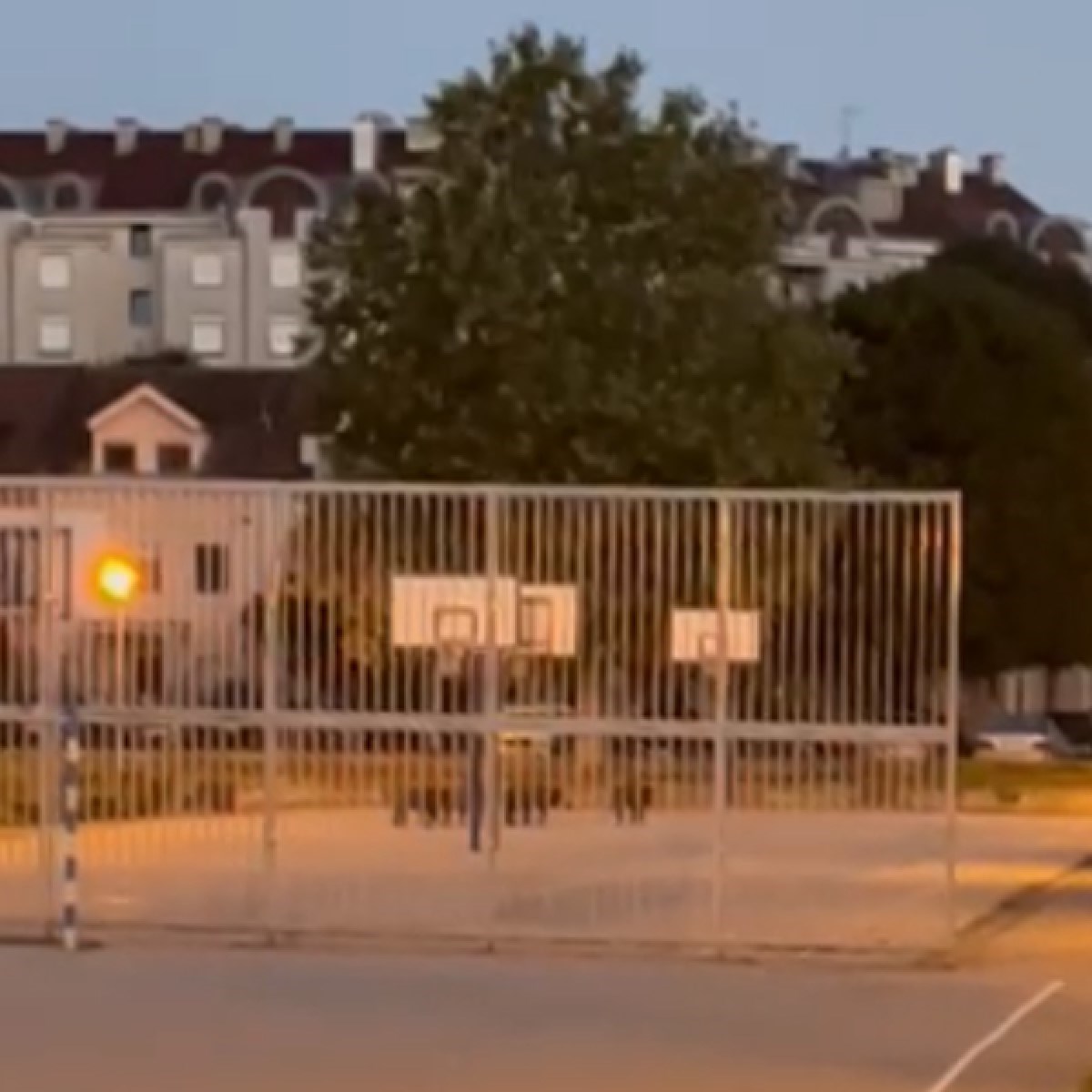 Divlje svinje jutros ušle u školsko dvorište u Zagrebu, pogledajte snimku