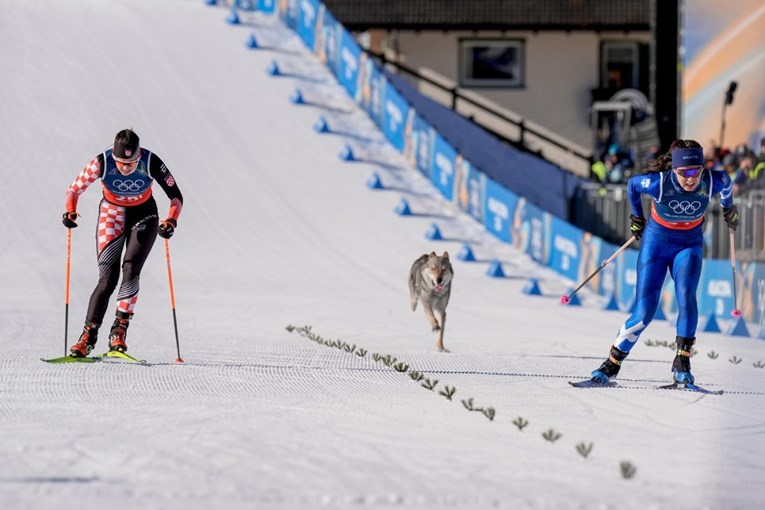 VIDEO Pas zalutao na stazu i trčao za hrvatskom olimpijkom
