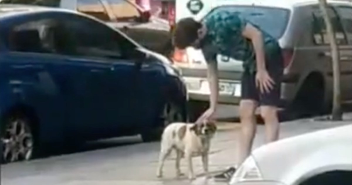 Pas prolaznike molio da ga slijede do doma, natpis na vratima slomio im je srca