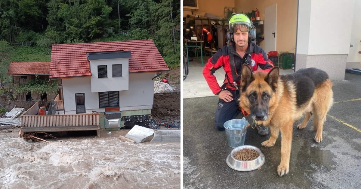 Gorska služba spašavanja uz pomoć helikoptera spasila psa i vratila ga vlasnicima